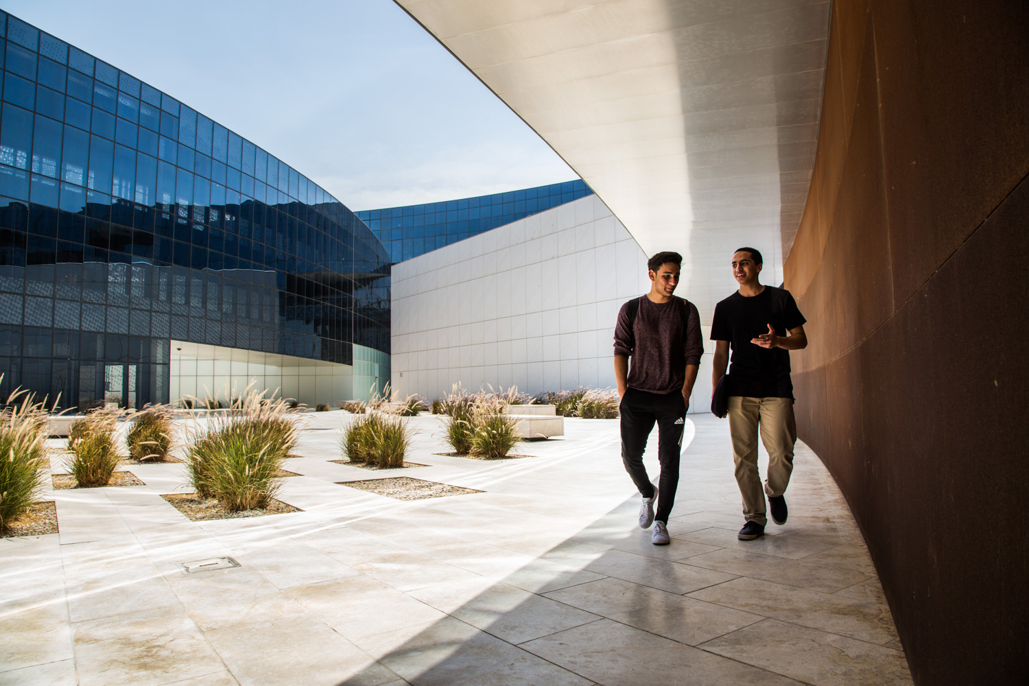 Northwestern University in Qatar